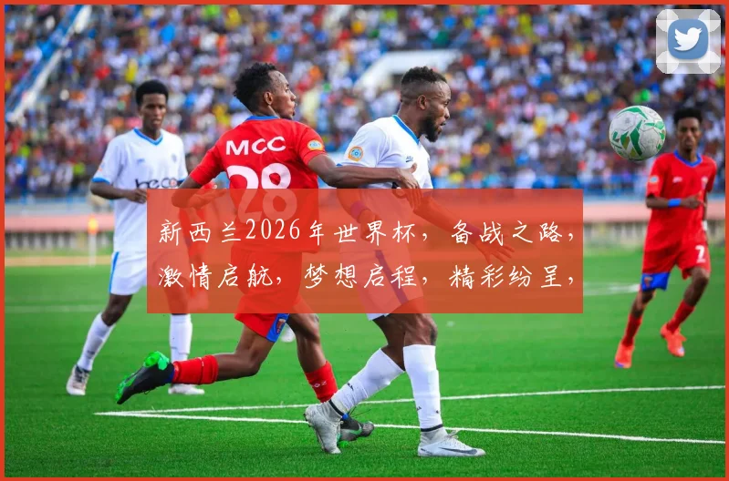 新西兰2026年世界杯，备战之路，激情启航，梦想启程，精彩纷呈，一触即发