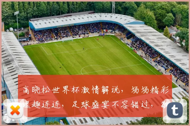 高晓松世界杯激情解说，场场精彩逗趣连连，足球盛宴不容错过，敬请关注