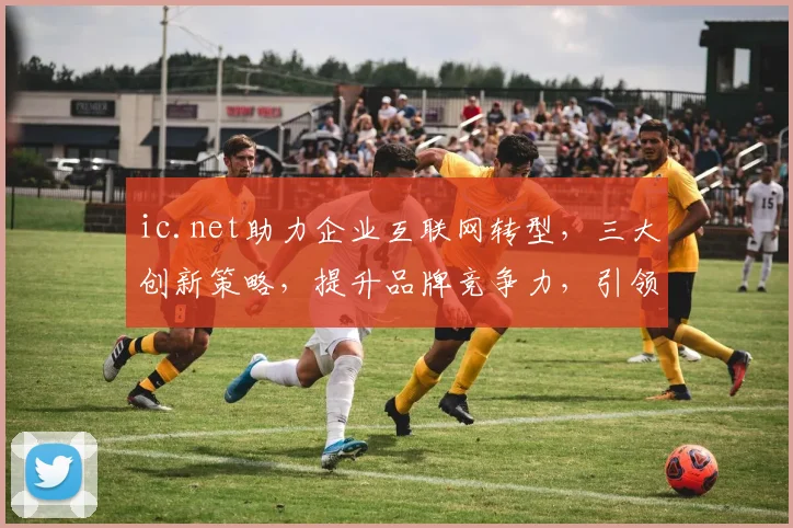 ic.net助力企业互联网转型，三大创新策略，提升品牌竞争力，引领行业潮流