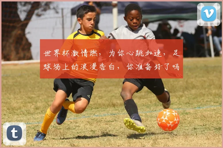 世界杯激情燃，为你心跳加速，足球场上的浪漫告白，你准备好了吗