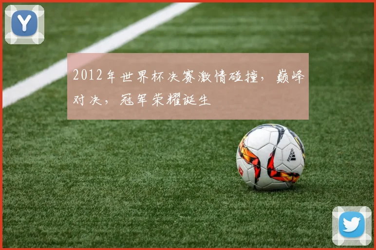 2012年世界杯决赛激情碰撞，巅峰对决，冠军荣耀诞生